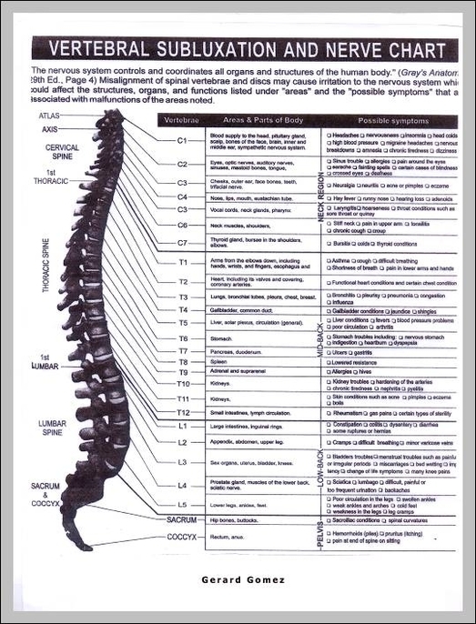 nerve body chart