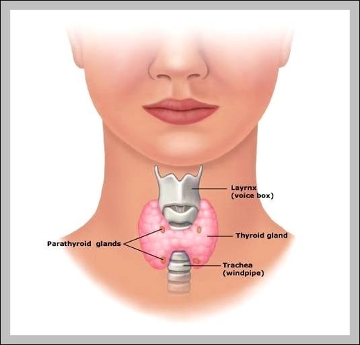 thyroid pictures
