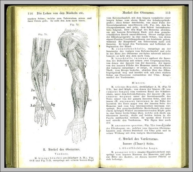 Anatomy Book Image