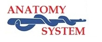 Anatomy System Image