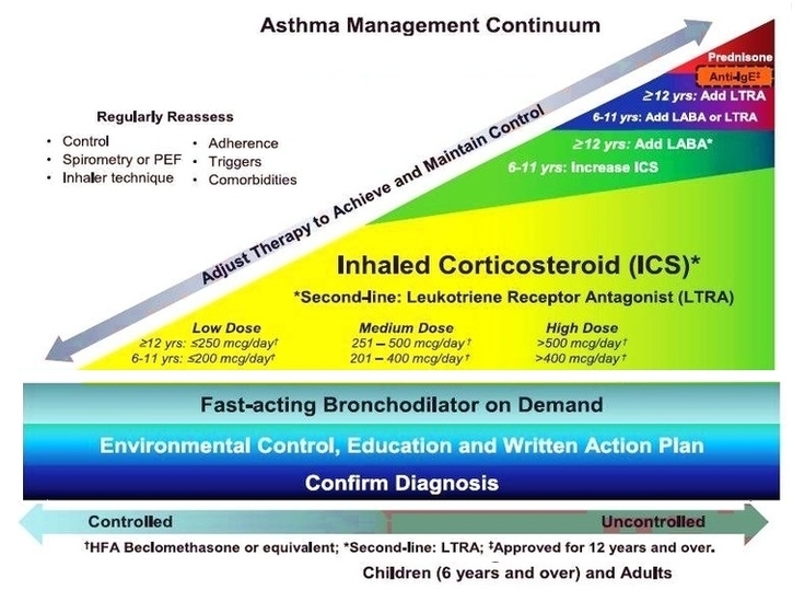 Asthma Management Image