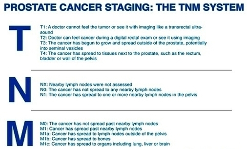 Austin Cyberknife Prostate Cancer Staging Image