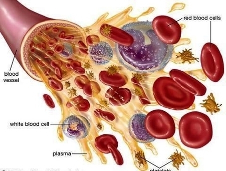 Blood Plasma1 Image
