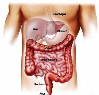 Colorectal Cancer Small Image
