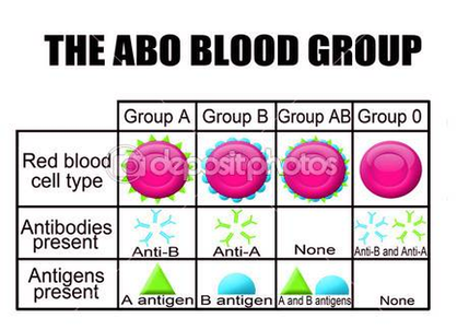 Dep The Abo Blood Group Diagram Image