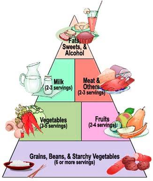Diabetes Food Pyramid Figure Image