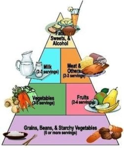 Diabetes Food Pyramid Image - Graph Diagram