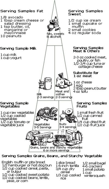 Diagram Diabetes Food Chart Image