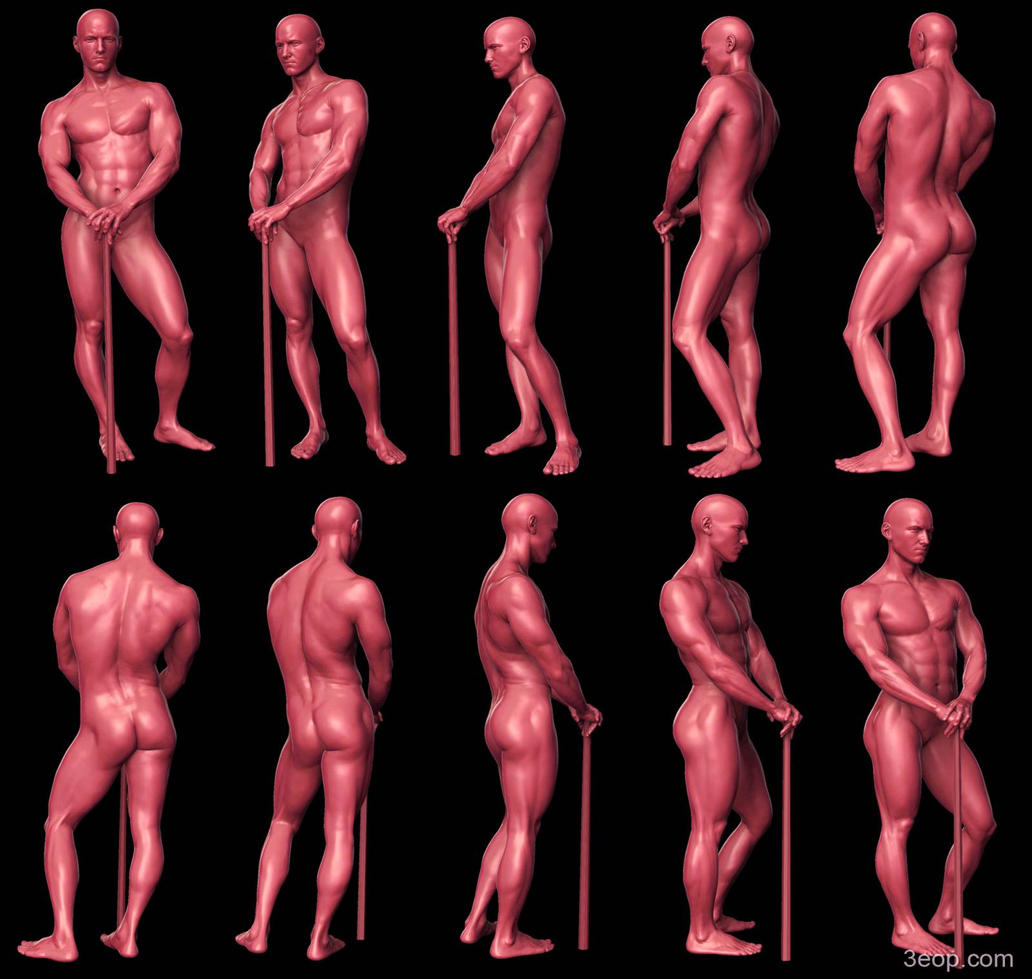 Diagram Of Anatomy Study Posed Male Image