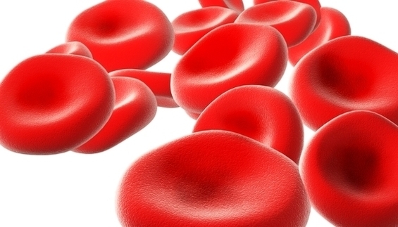 Diagram Red Blood Cells Image