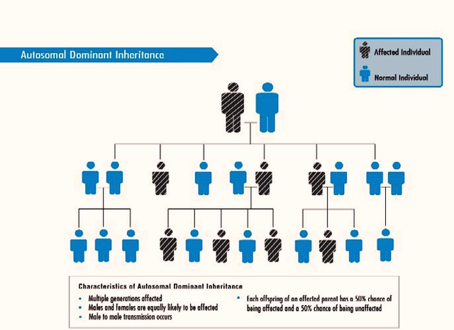 Dominant Inheritance Image