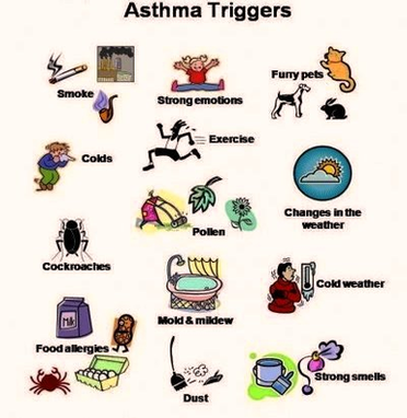 Draft Lensmodule Asthma Triggers Poster Figure Image