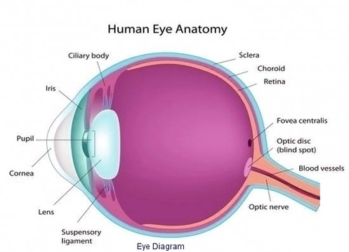 Eye Diagram Image