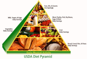 Food Guide Pyramid Usda Figure Image - Graph Diagram