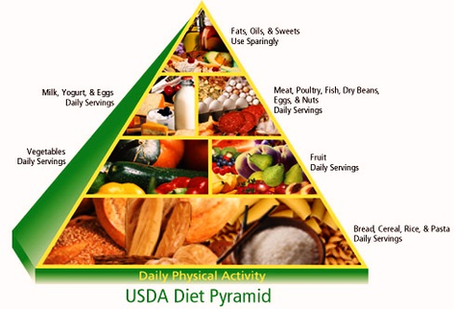 Food Guide Pyramid Usda Figure Image