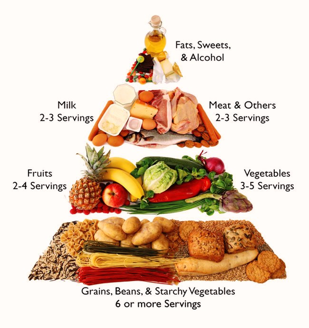 Food Pyramid Big Image