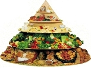 Food Pyramid Images Image