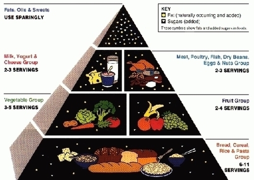Food Pyramid Original Image