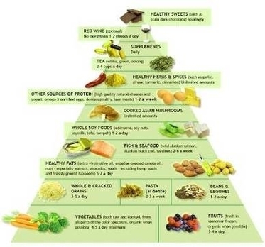Food Pyramid1 Image
