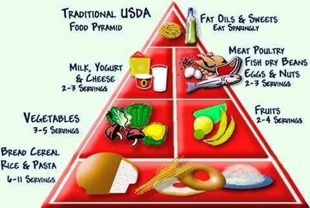 Food Pyramids Image