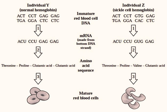 Highschool Biology Test Image