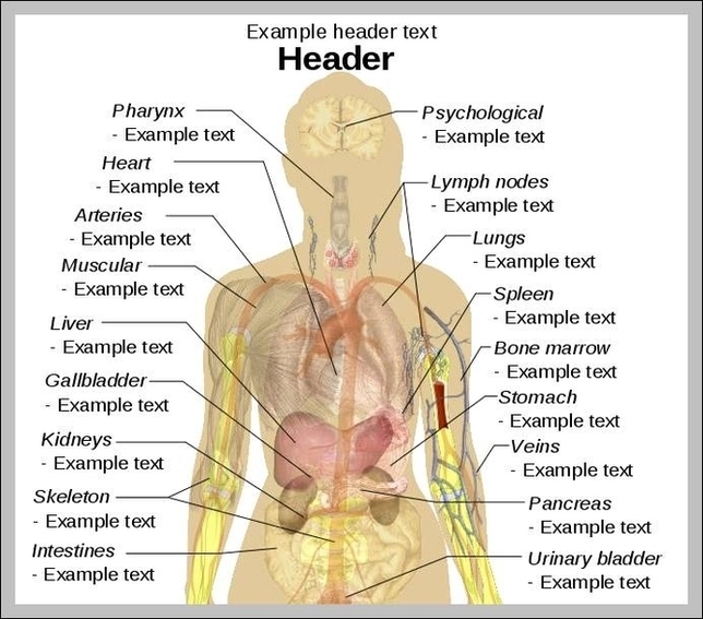 Humans Body Parts Image