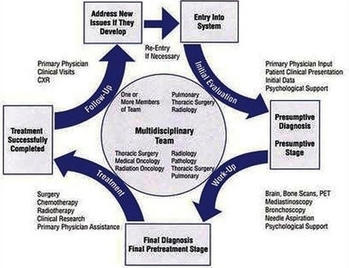 Lung Cancer Treatment Diagr Image