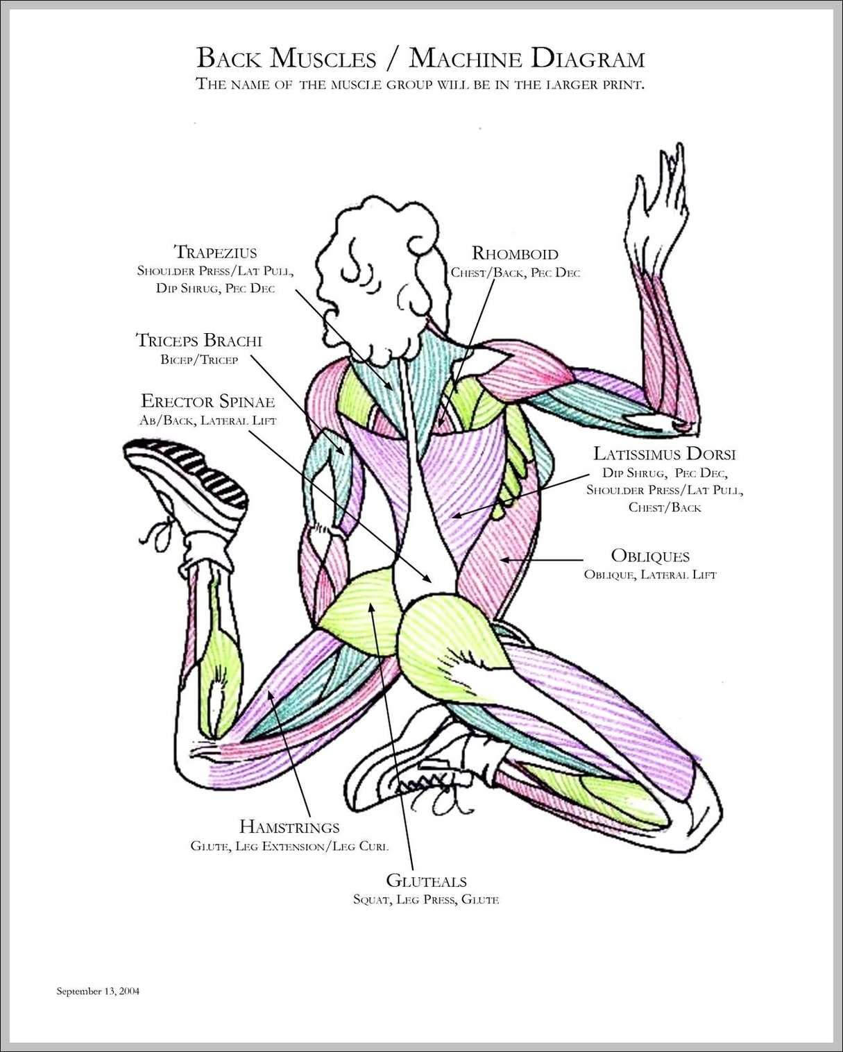 Muscles In Back Diagram Image
