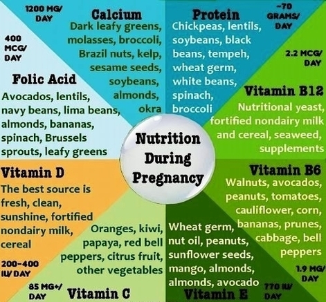 Nutrition During Pregnancy Images Image