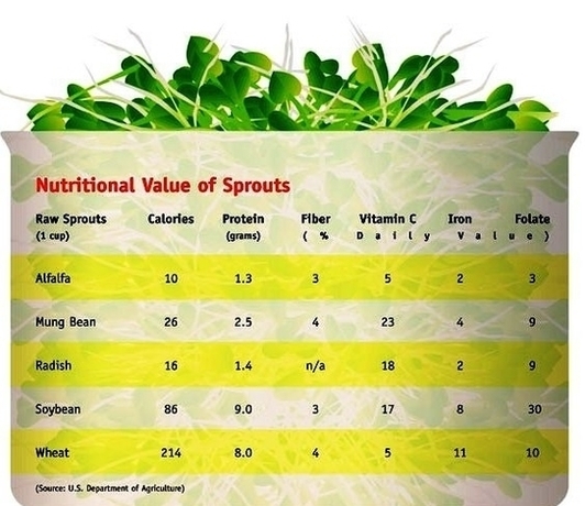 Nutritional Charts Images Image