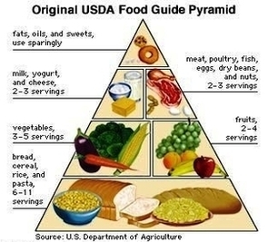 Original Usda Food Pyramid Photos Image