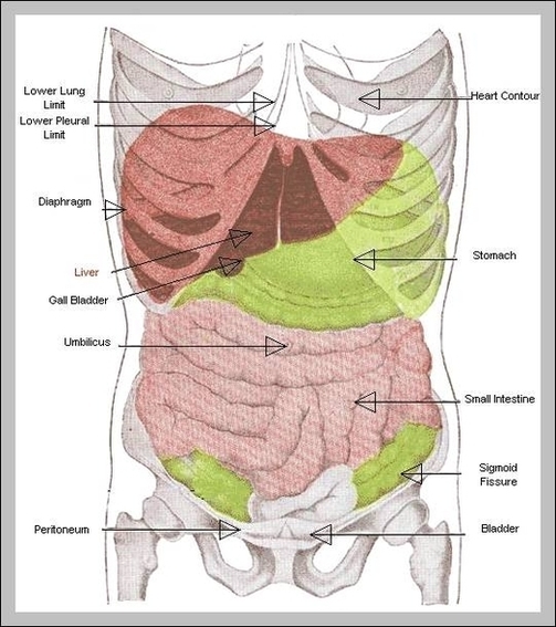 Picture Of Body Parts Image