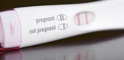 Positive Home Pregnancy Test Xuqkqnc Image