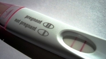 Positive Pregnancy Test First Response Udiccv Image