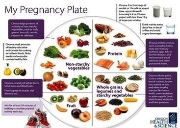 Pregnancy Plate Ohsutures Image