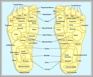 Pressure Points Map Image - Graph Diagram