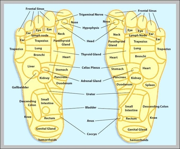 Pressure Points Map Image