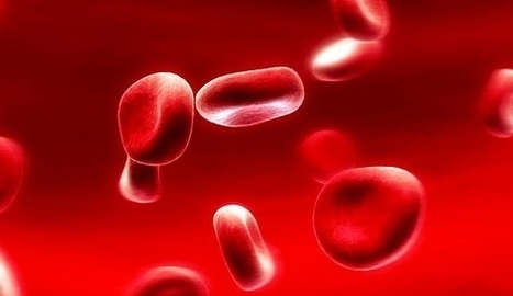 Red Blood Cells Flying Down The Blood Streammedium Image