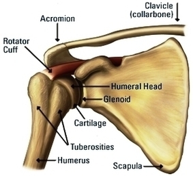 Shoulder Surgery Treatment Image
