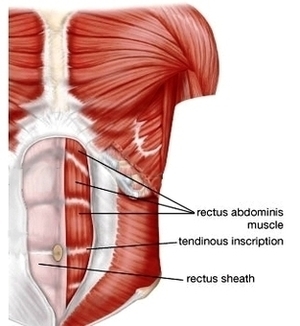 Six Pack Abs Image