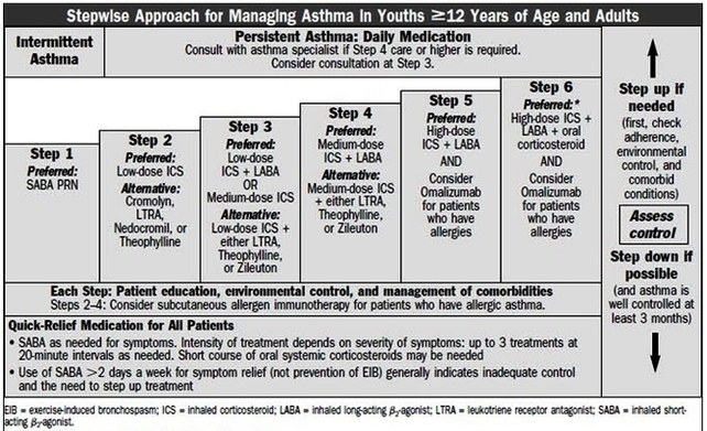 Stepwise Approach For Managing Asthmatures Image