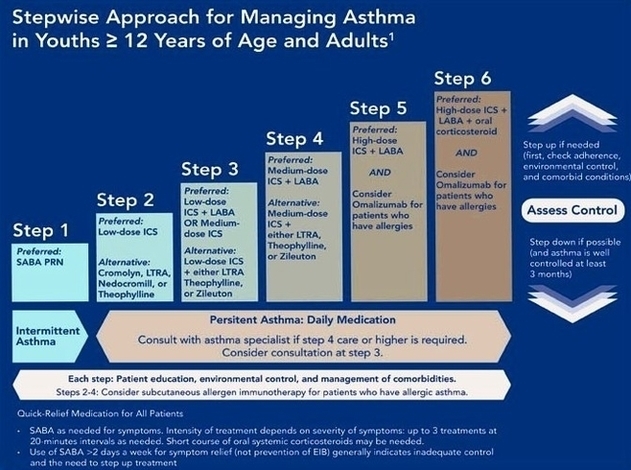 Stepwise Asthma Control Therapy Diagram Image