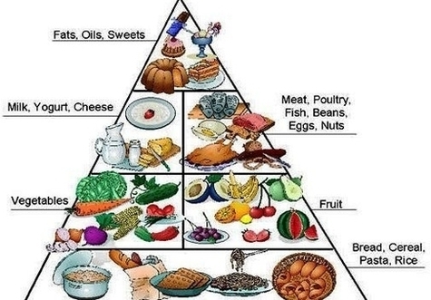The Food Pyramid For Kids Photo Image