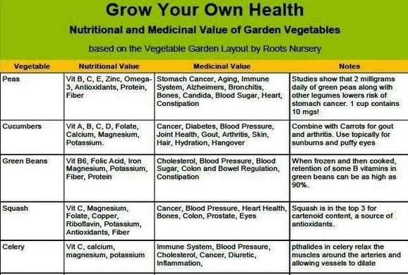 Vegetable Nutrition Chart Diagram Image