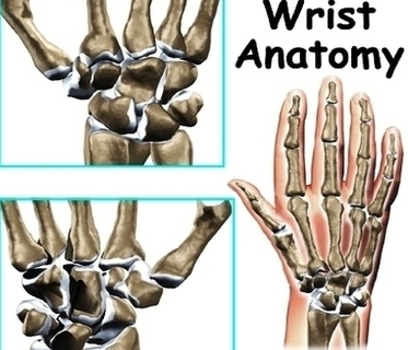 Wrist Anatomy Intro Image