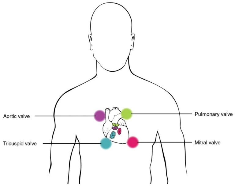 How To Check G-tube Placement With Stethoscope