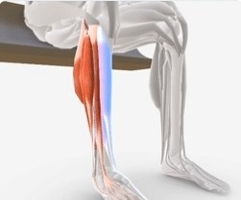 Ankle Inv Ev