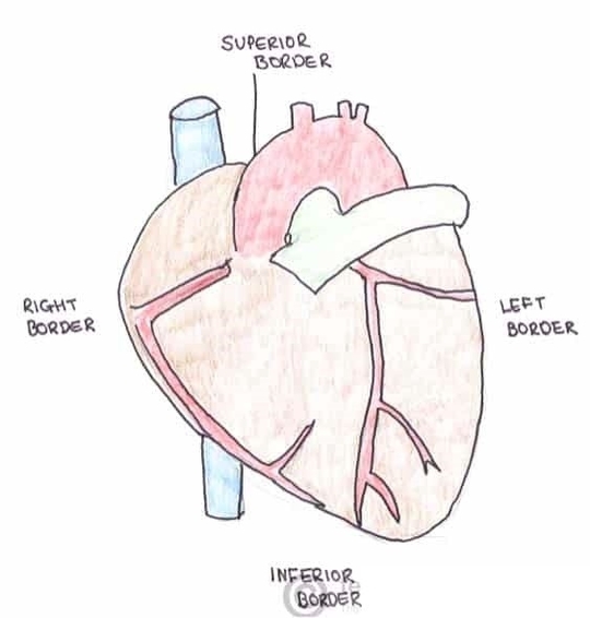 Borders of the Heart