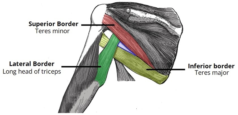 Borders of the Triangular Space