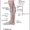 lymph nodes in legs diagram